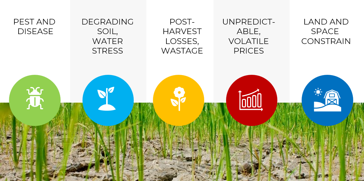 Agritech Illustration